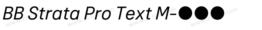BB Strata Pro Text M字体转换